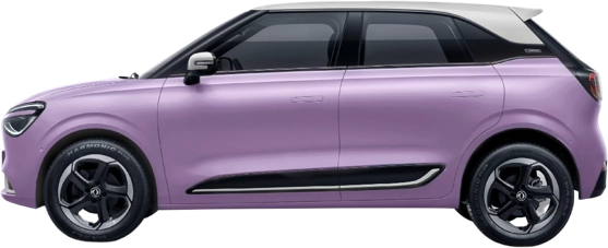 Dynamic Purple Metallic / White Roof